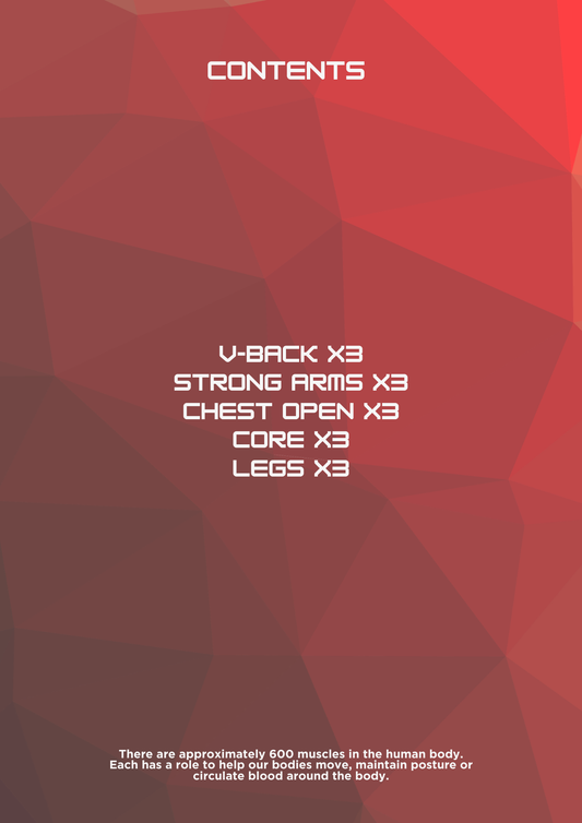 The Greatest Wealth Is Health Planner & eBook Bundle (inc 21 ways to keep in the gym & 15 session workout pack)