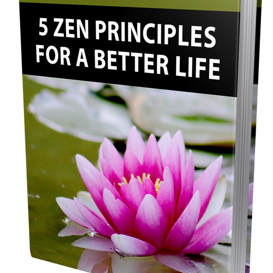 We have bundled together The Art of Living in the Moment eBook with 9 chapters over 32 pages to help you be in the NOW. Paired with 5 Secrets to finding balance and 5 Zen Principles for A Better Life.

These eBooks will help you understand more techniques to ground the present time in busy or stressful lives. You may or may not be going through something these easy to read eBooks help you go through at a steady pace and facilitate evolution with connections throughout daily life.