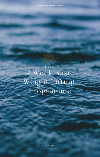 gym based lifting programe cover