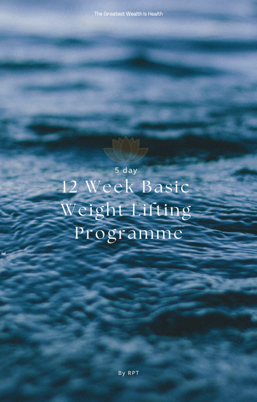 gym based lifting programe cover