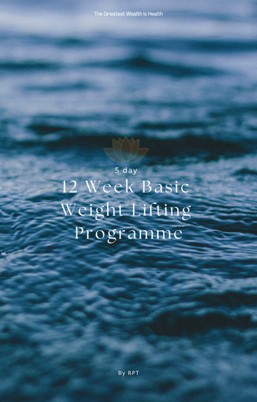 7 Pack - eBooks, info packs and worksheet including a 12 week basic lifting program, 10 motivation hacks and more