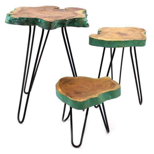 Set of 3 Gamal Wood Feature Tables/ Planet Stands - Greenwashed