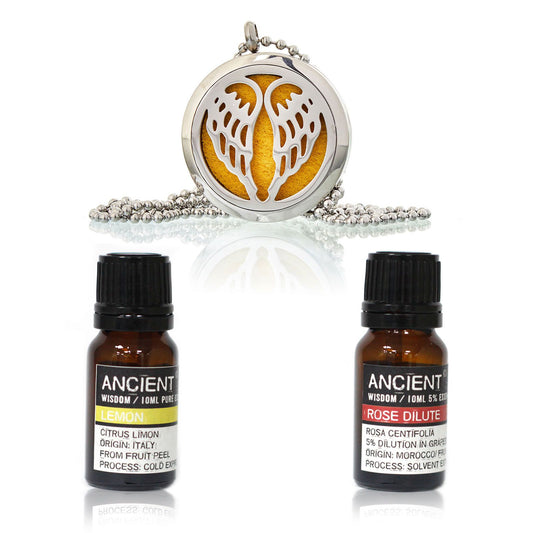 Aromatherapy Wings Essential Oil Diffuser Necklace